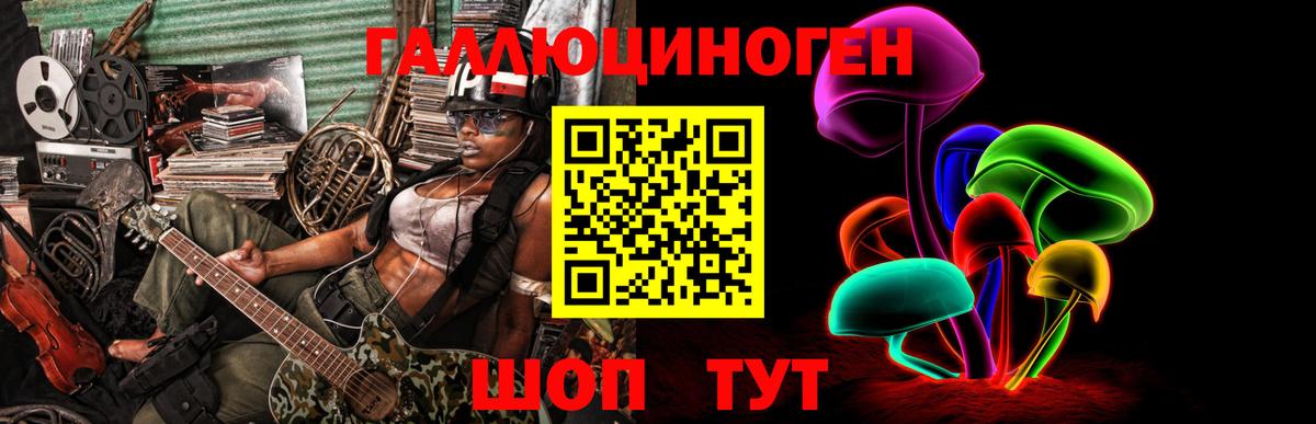 Кунгур  Псилоцибиновые грибы MAGIC MUSHROOMS  Вход с VPN 