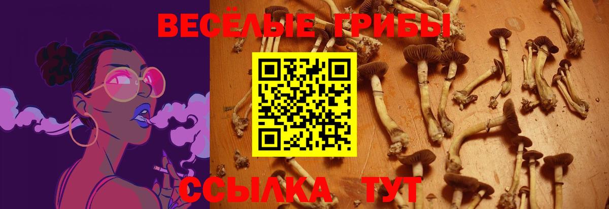 Псилоцибиновые грибы Cubensis Кунгур